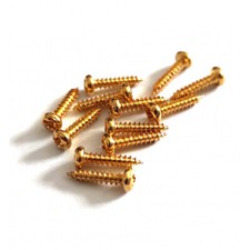 12 Vis Gold standard 2,1 mm x 10 mm pour mécaniques pour guitare éléctrique