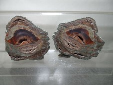 CRIS Z36 PAIRE DE LITHOPHYSE "LA VIGNE" FREJUS VAR FRANCE