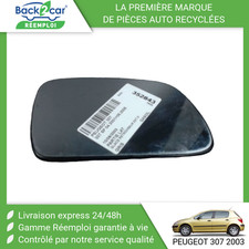 🏆 GLACE RETROVISEUR EXT D