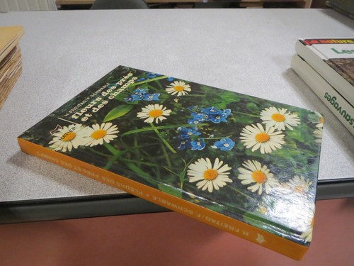Ter01 fleurs des - des, et