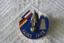 insigne 110° Régiment