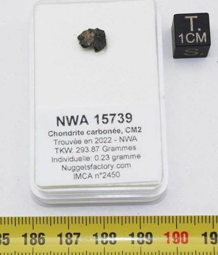 Météorite nwa 15739 - 15739, une