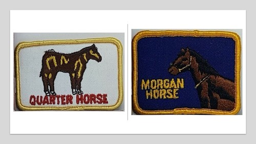 Morgan american quarter - american,