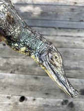 Crocodile Ecole de Tours Charles–Jean Avisseau ? Bernard Palissy Joseph Landais