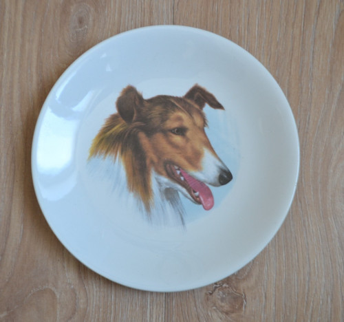 Assiette gien colley - -, chien
