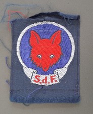 Insigne tissu ancien LOUVETEAU SCOUT DE FRANCE écusson Scoutisme ORIGINAL patch