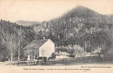 CPA 88 VALLEE DE CELLES / LE PAIN DE SUCRE ET MAISON FORESTIERE DE BENAMAIX