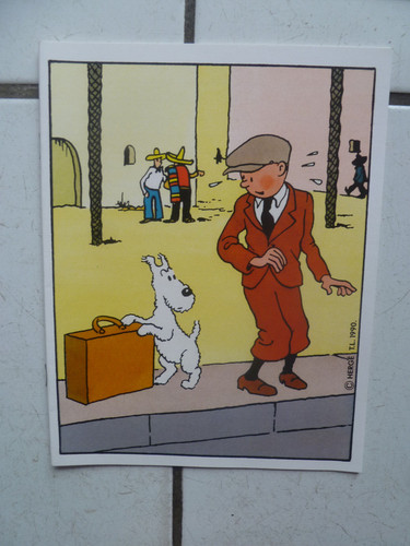 Tintin cahier vierge - /,