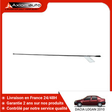 🇫🇷 BRIN ANTENNE DACIA