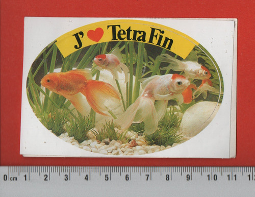 Tetra fin aquariophilie - -,
