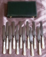 Coffret 12 Couteaux de table