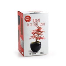Kit Bonsaï - Erable rouge