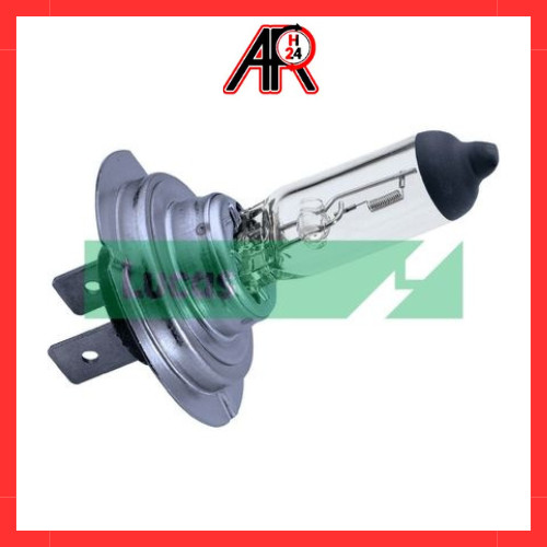 Ampoule feux halogène 24v - ampoule,