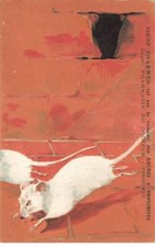 SOURIS RATS #MK43558 DEUX SOURIS BLANCHES SIROP PHARMED REMEDE DES RHUMES ET B