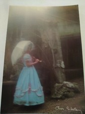Carte postale vierge photo - postale,