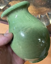 Aegitna Saltalamacchia