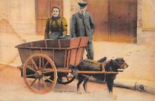 CPA 45 ATTELAGE DE CHIEN / ATTELAGE A CHIEN DU LOIRET