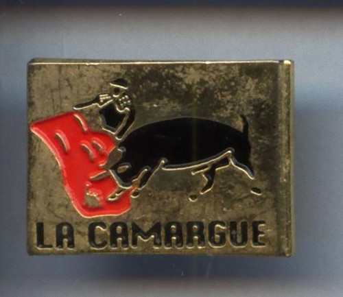 Rare pins pin - sport, fete
