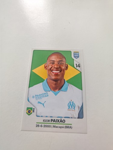 Sticker panini fifa - sticker,