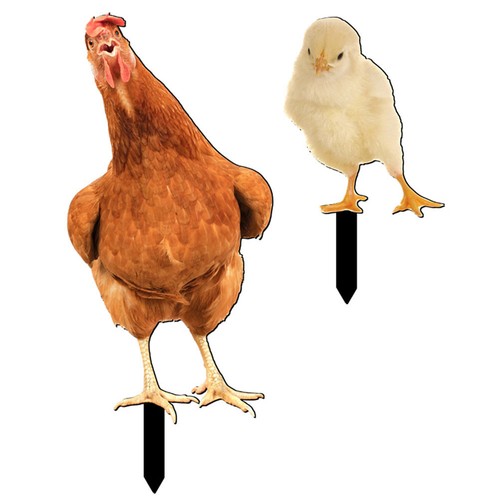Pcs pieu poulet panneau - ,