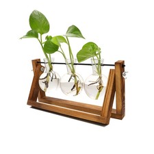 Plant Terrarium with Wooden