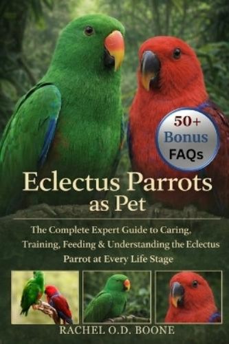 Rachel boone eclectus - o, d