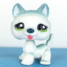 Authentic Littlest Pet Shop #1563 Husky Dog / Original Hasbro LPS