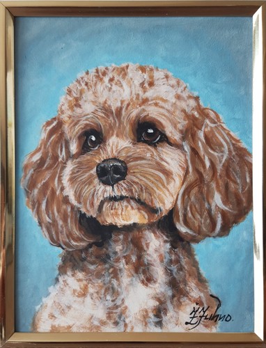 Peinture huile cavapoo - à,
