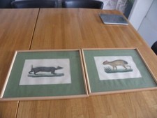 PAIRE DE GRAVURES ANCIENNES