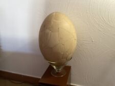 rarissime oeuf d'Aepyornis