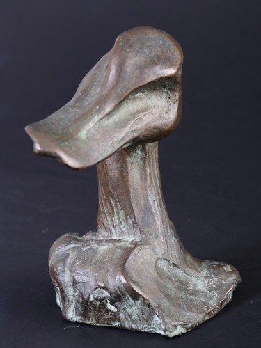 Yves lohé tête canard en - de,