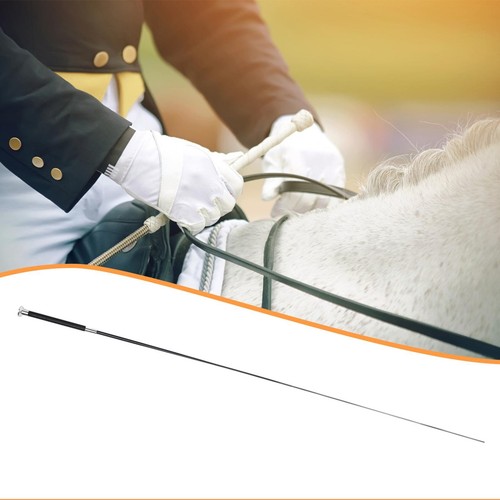 Cravache équitation pour - cravache, d'équitation