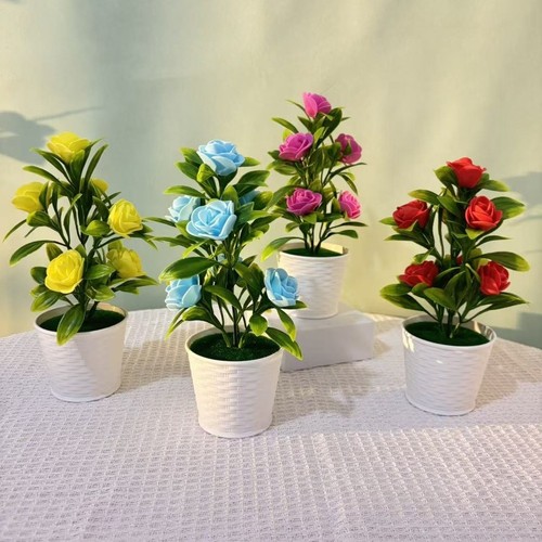 Plante pot rose en - plante,