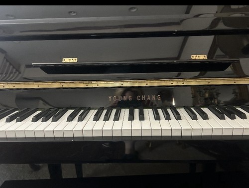 Young chang studio - studio, upright