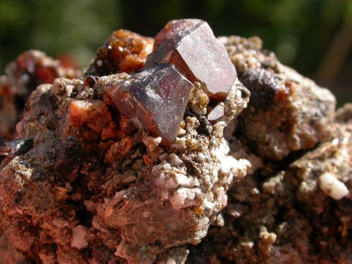 Top grenats sur mica - grenats,