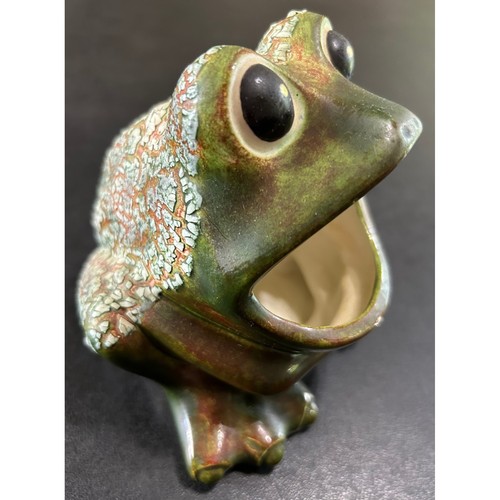 Frog sponge holder green - holder,