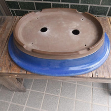 Énorme pot à bonsaï