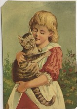 CHROMO - CHAT - GROS CÂLIN