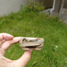 Bonsaï Pot Japonais Art Forme