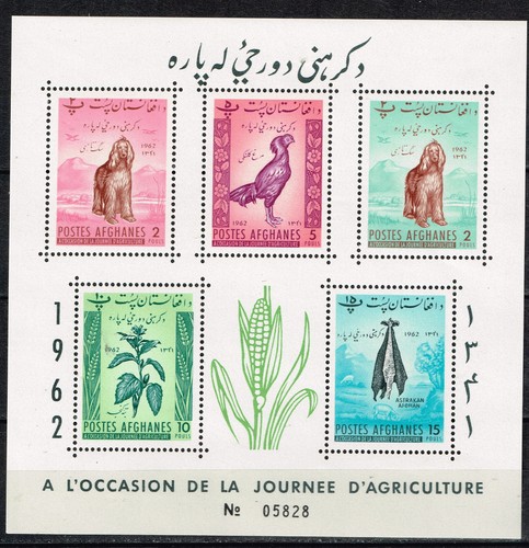 Afganistan flora and fauna - afganistan,