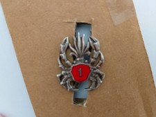 légion étrangère 1er Groupement Amphibie-1er REC