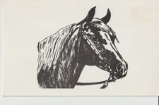 BARNETT'S LEO CHEVAL PHBA CH
