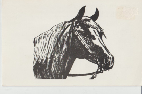 Barnett leo cheval phba - barnett's,
