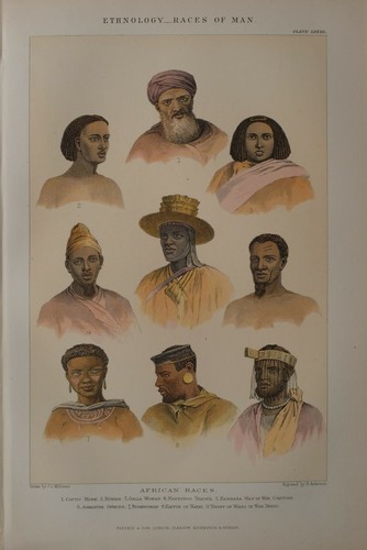 1886 imprimé ethnology - imprimé,
