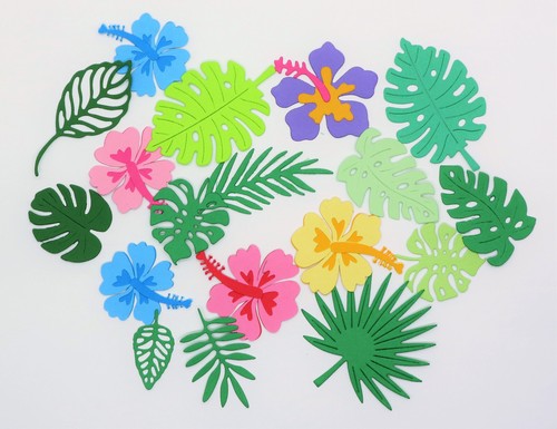 Tropical leaves flowers - leaves,