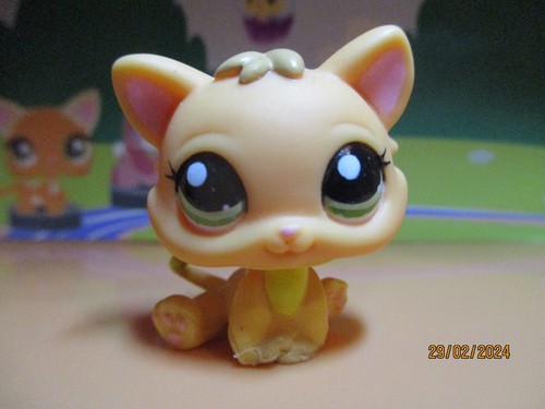 Petshop chaton 1691 - petshop, #1691