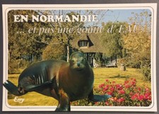 Carte postale Humoristique - EN NORMANDIE ... et pas une goutte d'EAU.  (242)