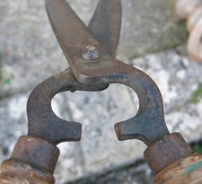 CISAILLE ANCIENNE,ancien taille haie, cisaille, B H V, jardin,topiaire,fer forgé