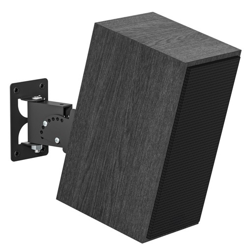 Adjustable speaker mount for - speaker,