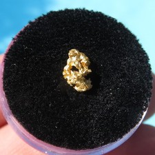 Minéraux Rare Pépite en Or